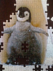 pingvinmage 002